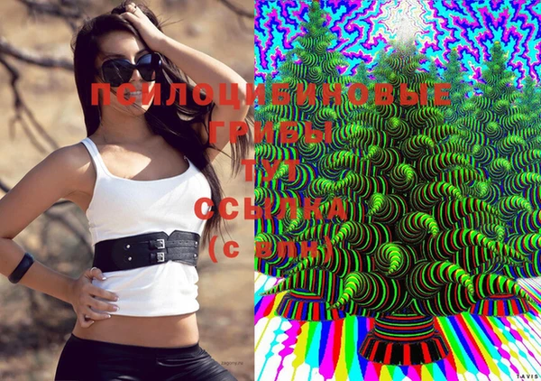 амф Лихославль