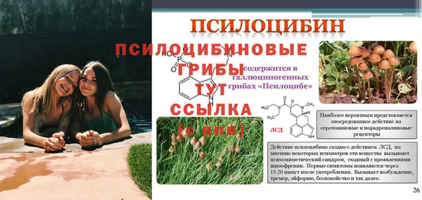 амф Лихославль