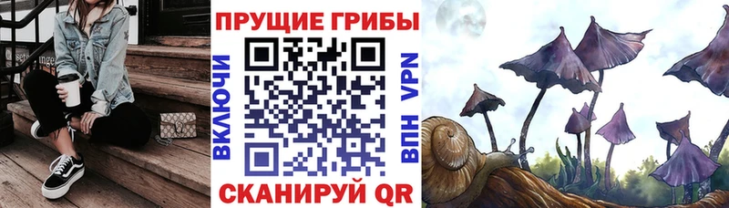 Псилоцибиновые грибы мицелий Альметьевск